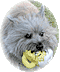 Member Bio