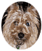 Member Bio