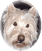 Member Bio