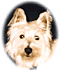 Member Bio